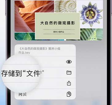 盘县apple维修中心分享iPhone文件应用中存储和找到下载文件