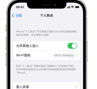 盘县apple服务站点分享iPhone上个人热点丢失了怎么办 