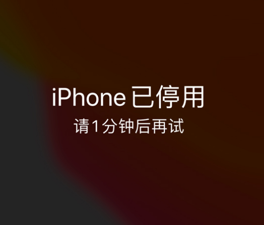 盘县苹果手机维修分享:iPhone 显示“不可用”或“已停用”怎么办？还能保留数据吗？ 