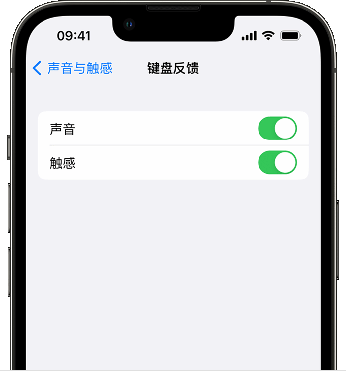 盘县苹果14维修店分享如何在 iPhone 14 机型中使用触感键盘 