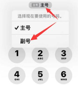 盘县苹果14维修店分享iPhone 14 Pro Max使用副卡打电话的方法 