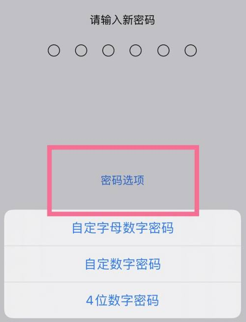 盘县苹果14维修分享iPhone 14plus设置密码的方法 