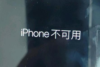 盘县苹果服务网点分享锁屏界面显示“iPhone 不可用”如何解决 