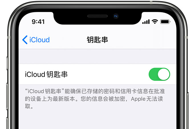 盘县苹果手机维修分享在 iPhone 上开启 iCloud 钥匙串之后会储存哪些信息 