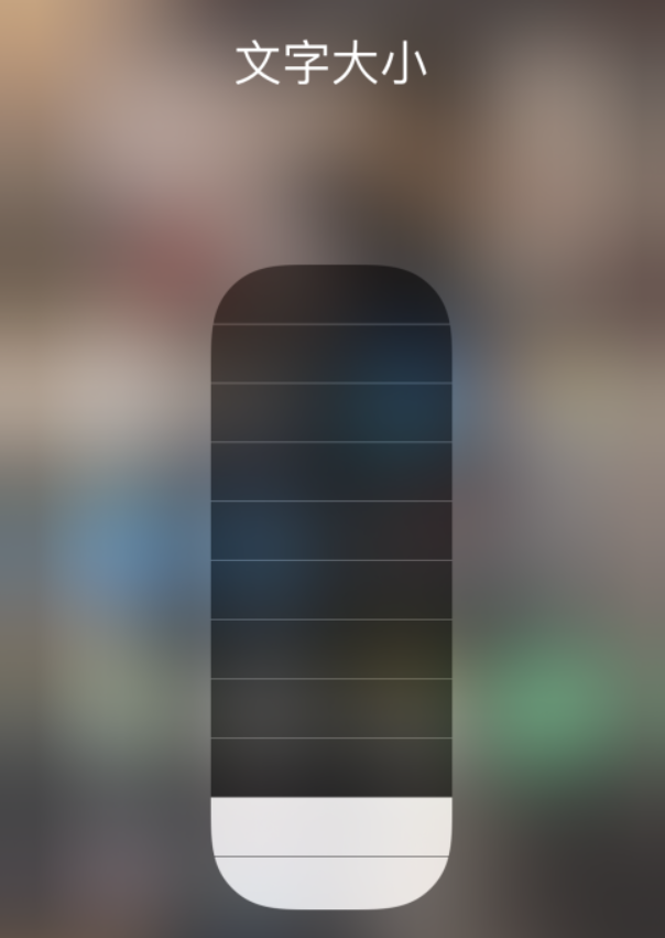 盘县苹果手机维修分享小技巧：在 iPhone 控制中心快速调节字体大小 